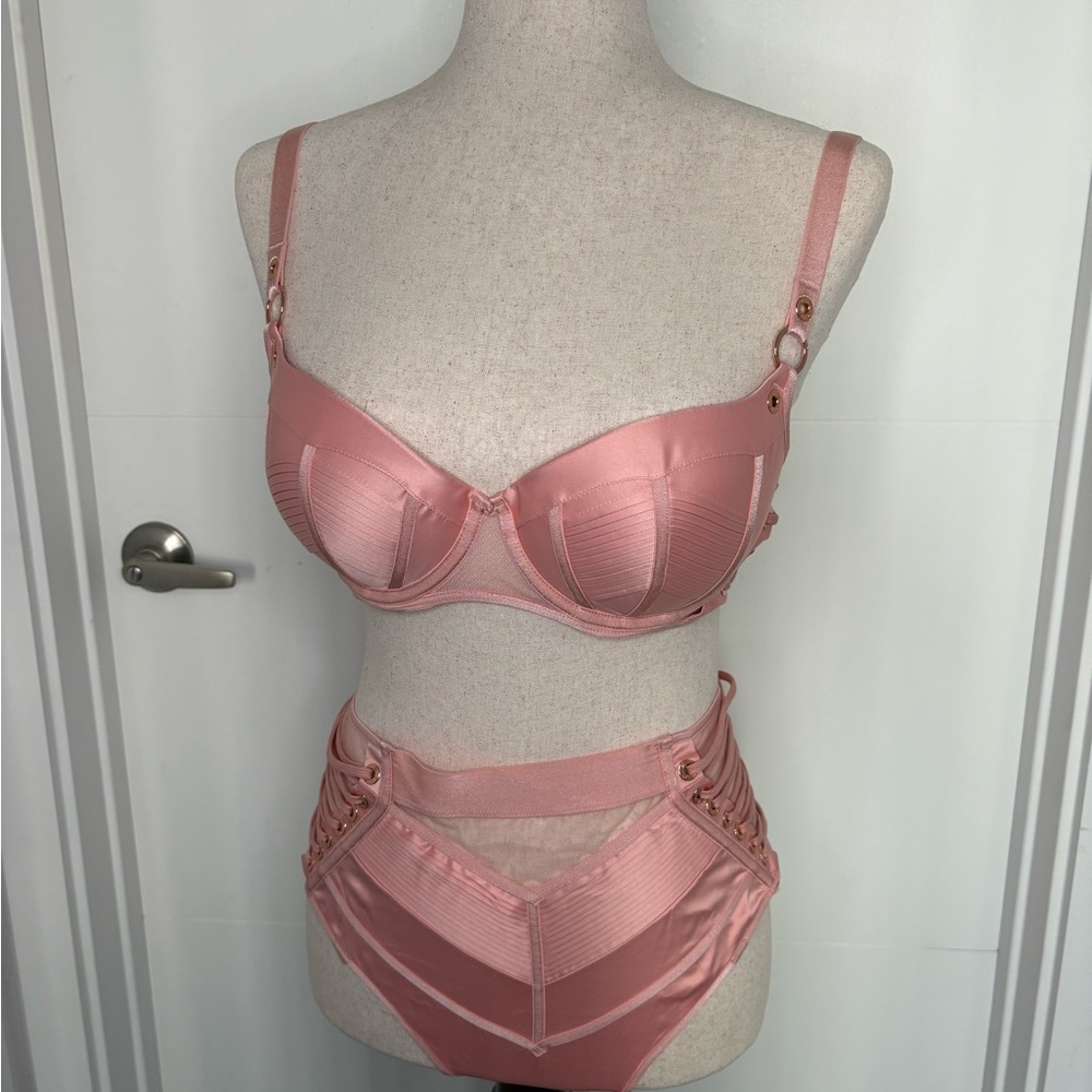 Honey Birdette Jerry Bra, Brief, and garter Blush Pink Bra Full Set